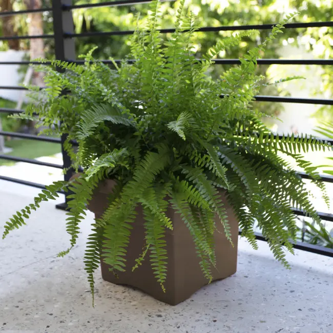 Veranda Deck Box - Image 4