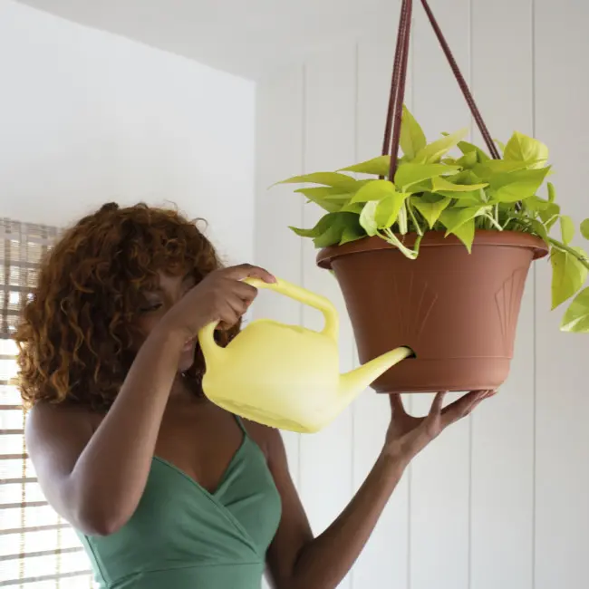 Translucent Watering Can - Bloem Living
