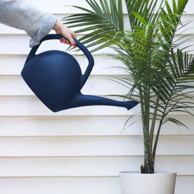 Rhino Watering Can - Image 4
