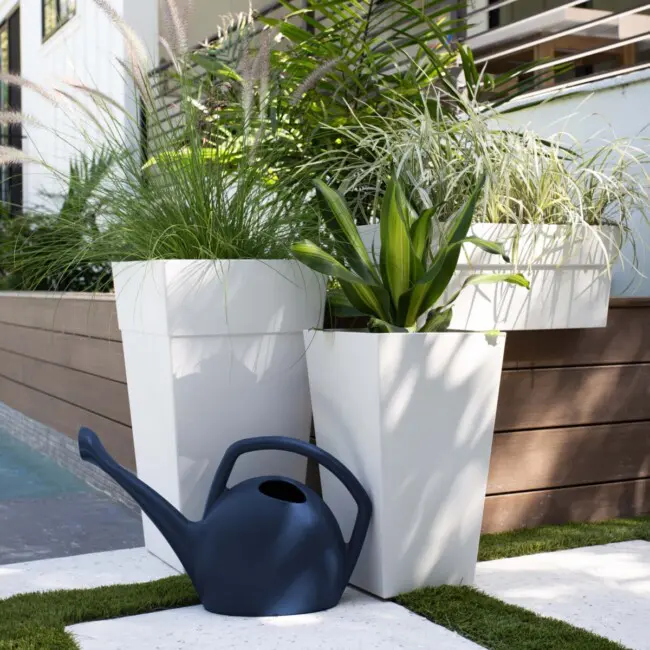 Rhino Watering Can