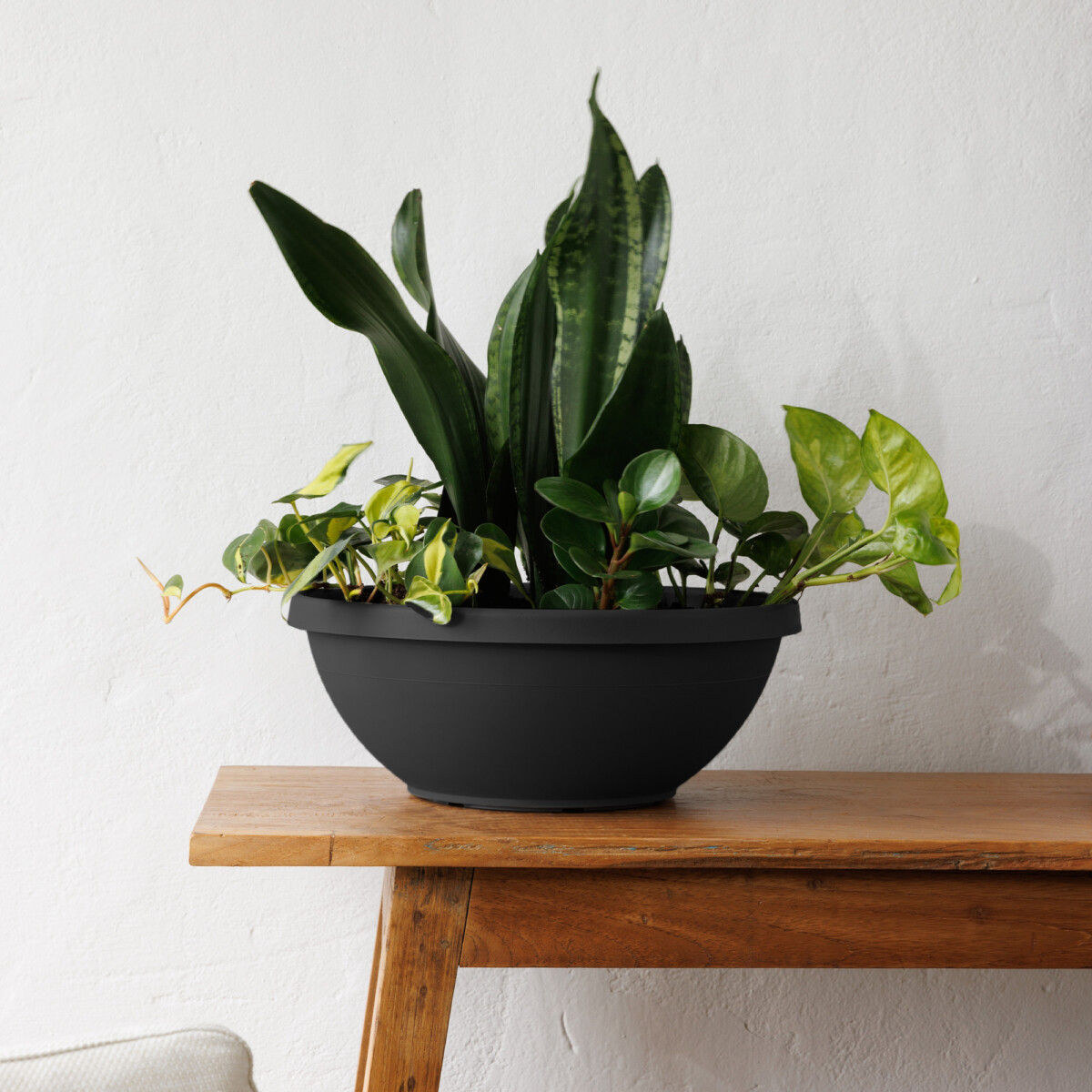 Terra Bowl - Bloem Living - Herb & Succulent Planter