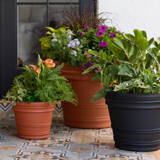 Rolled Rim Planter - Image 3