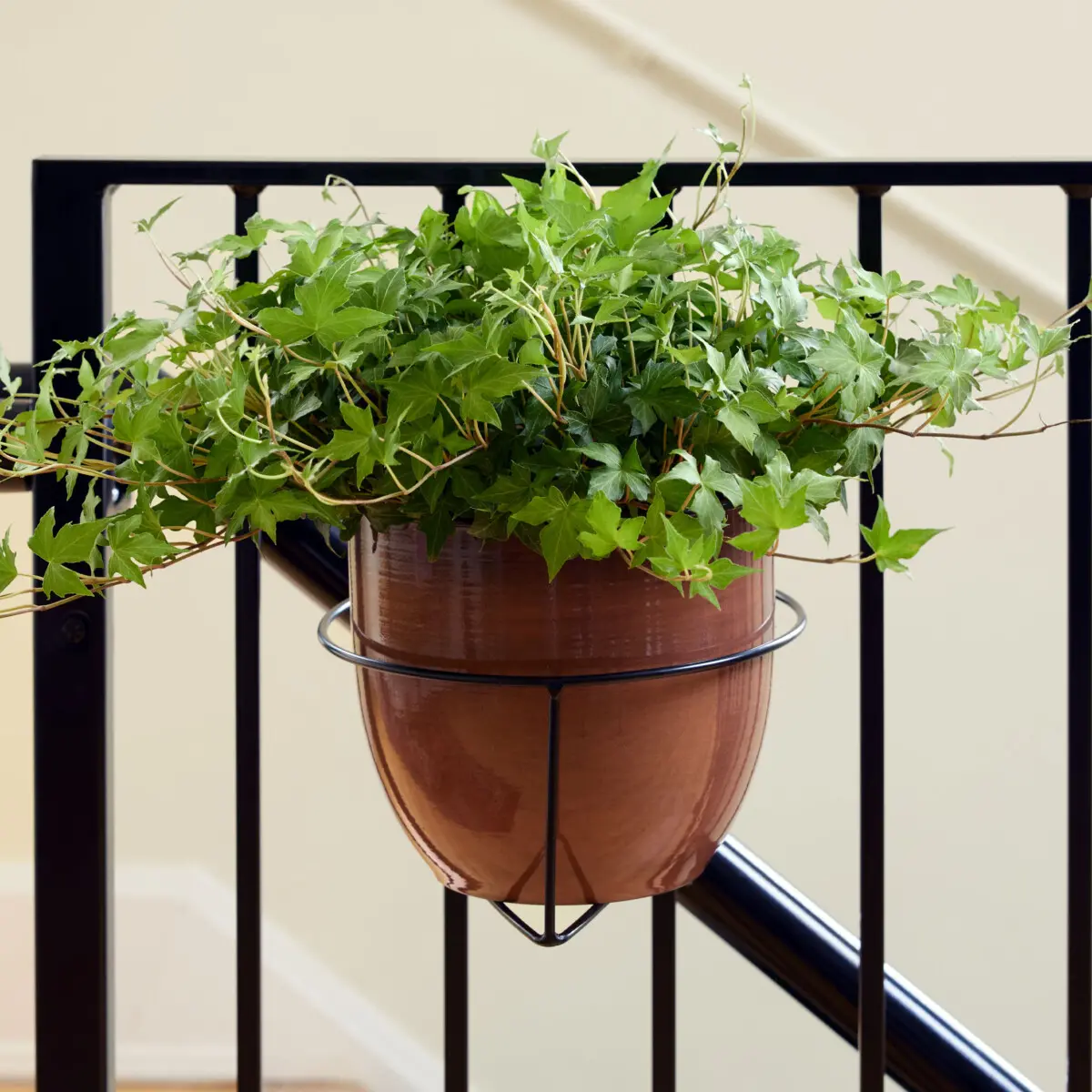 RailScapes Indoor / Outdoor Plant hanger - Bloem Living
