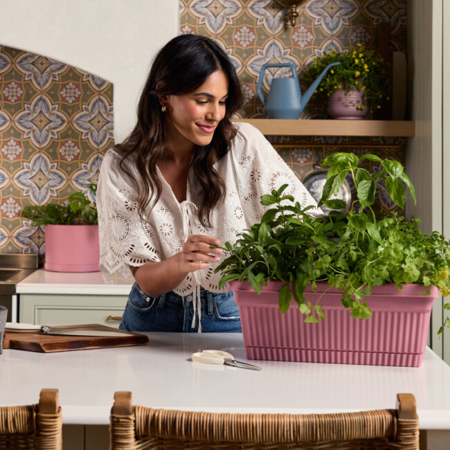 Amelia Planter