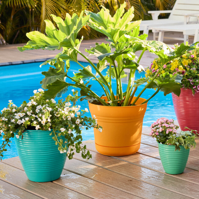 Nova Planter - Image 4