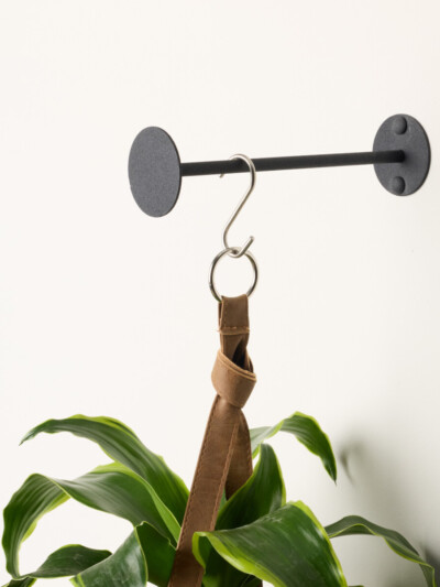 Revel Plant Hanger