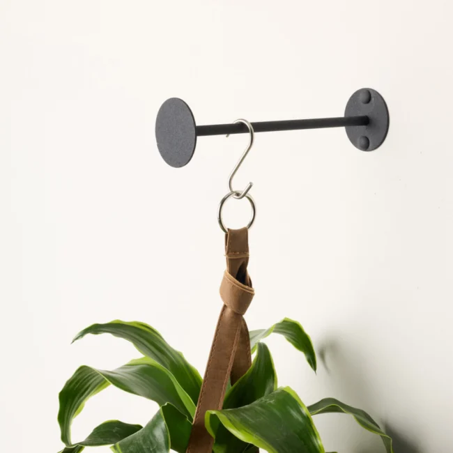 Revel Plant Hanger
