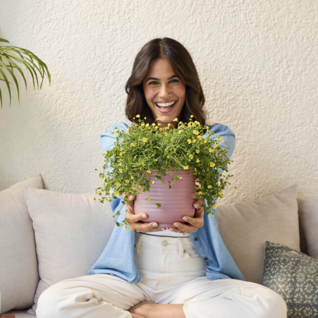 Grove Planter - Image 3