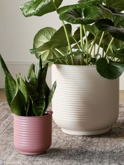Grove Planter