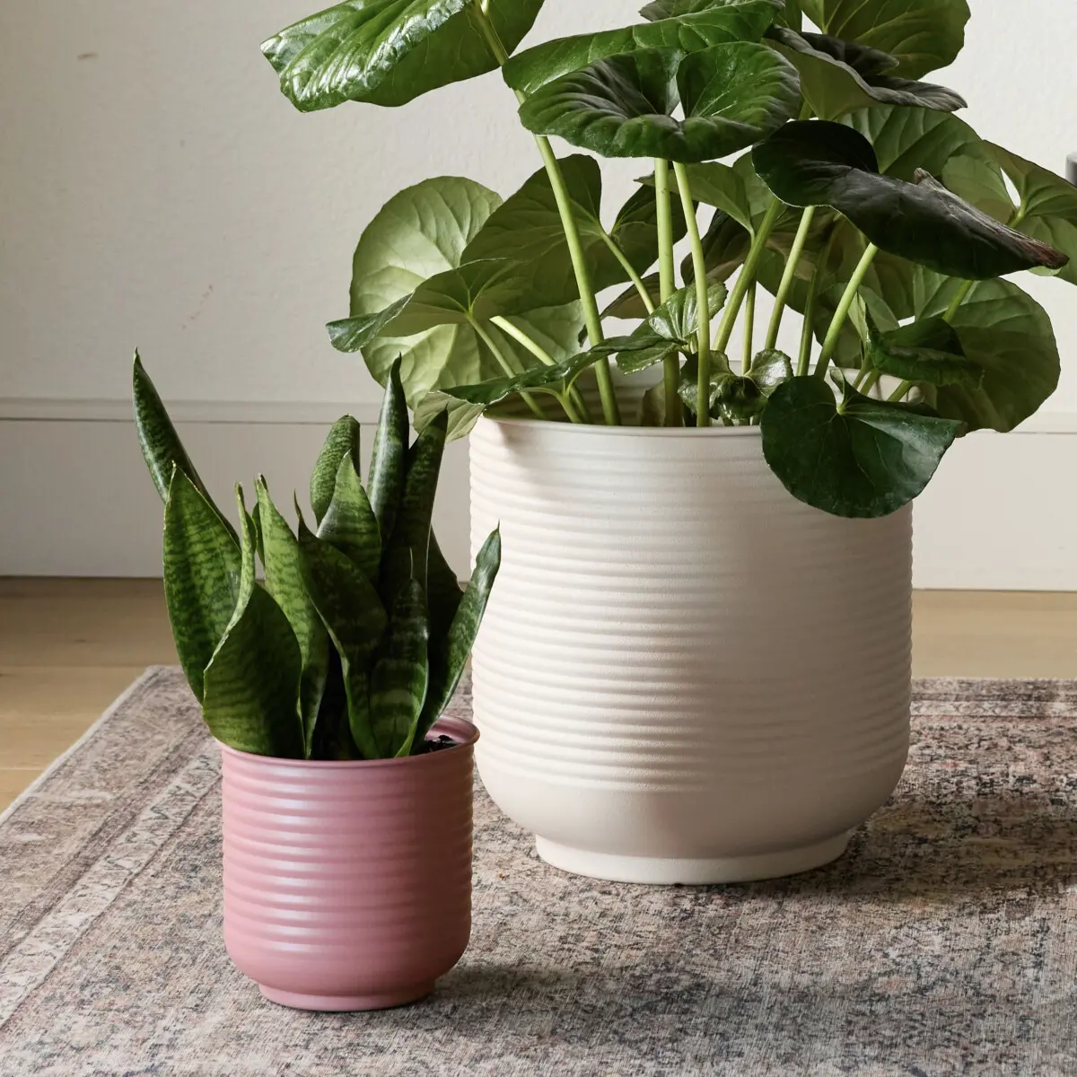 Grove Planter - Bloem Living