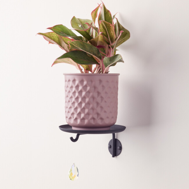 Lily Plant Shelf - Image 4