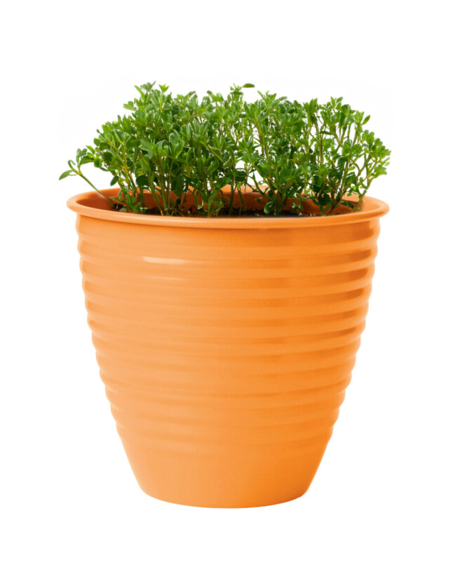 Nova Planter - Image 3