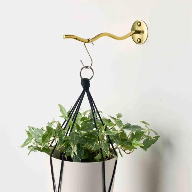 8" Ripple Plant Hanger  Wavy Wall Hook for Hanging Plants | Bloem