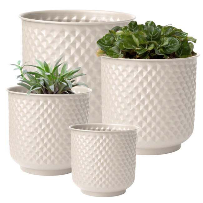 Prism Planter - Image 4