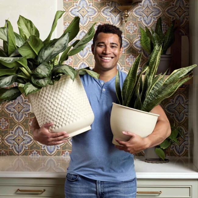 Prism Planter - Image 5