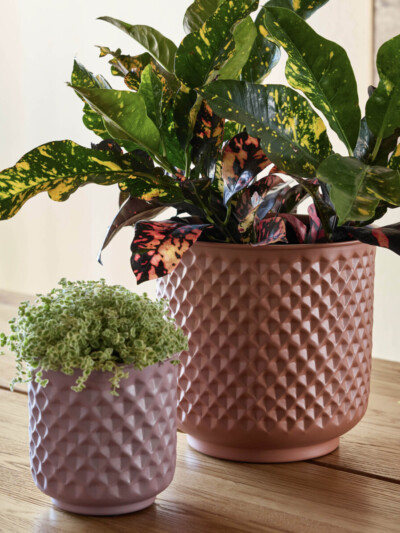 Prism Planter