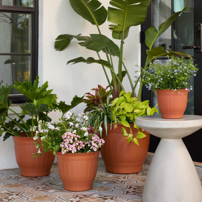 Colonnade - Image 3