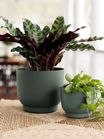 Enzo Planter
