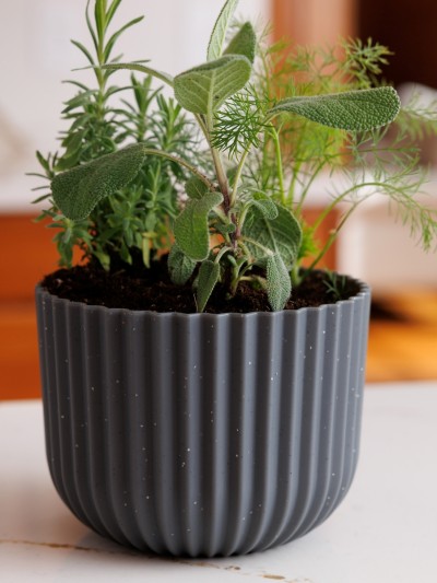 Wren Planter